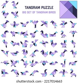 Tangram puzzle. Set of tangram different birds.