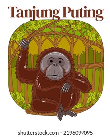 Tanjung Puting National Park in Vector Illustration