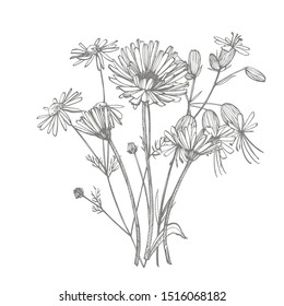 イラストエレメントを分離 春の野花 白黒の刻印墨画 のベクター画像素材 ロイヤリティフリー