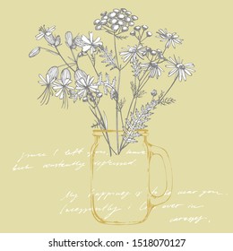 Tansy and Chamomile. Bouquet of hand drawn flowers and herbs. Botanical plant illustration. Handwritten abstract text wallpaper