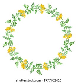 Tansy flowers wreath. Round frame made of yellow flowers. Vector design for sublimation