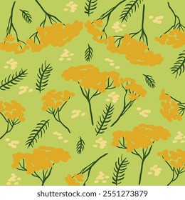 Tansy. Vector illustration. Medicinal herbs illustration.