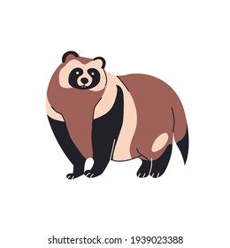 Tanuki animal isolated vector illustration. Japanese raccoon dog design element. Asian creature, wildlife.