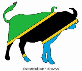 Tanzania buffalo