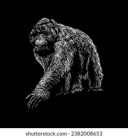 tapanuli orang utan hand drawing vector isolated on black background.