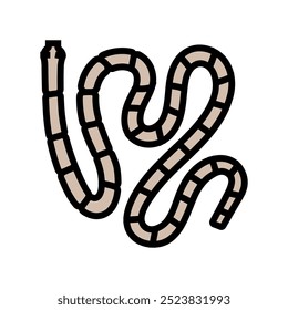 tapeworm parasite color icon vector. tapeworm parasite sign. isolated symbol illustration