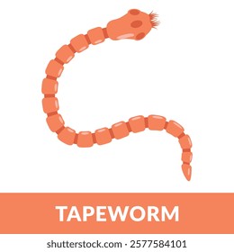 Tapeworm parasite Design Vector Illustration