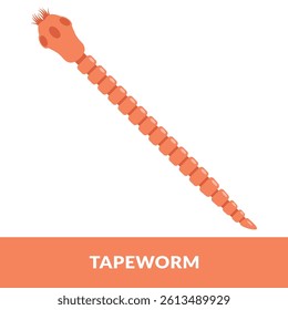 Tapeworm Parasite Design Vector Illustration	