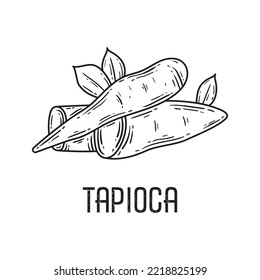 Tapioca Root Line Black Vector Illustration Isolated