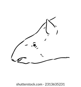 Tapir animal sketch engraving vector illustration. Scratch board style imitation. Hand drawn image.