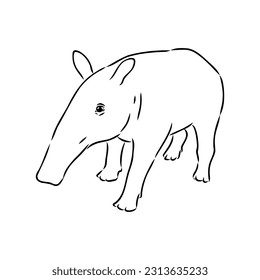 Tapir animal sketch engraving vector illustration. Scratch board style imitation. Hand drawn image.