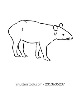 Tapir animal sketch engraving vector illustration. Scratch board style imitation. Hand drawn image.