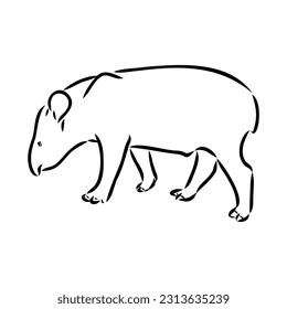 Tapir animal sketch engraving vector illustration. Scratch board style imitation. Hand drawn image.