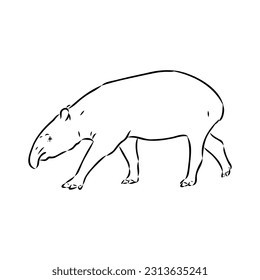 Tapir animal sketch engraving vector illustration. Scratch board style imitation. Hand drawn image.