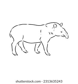 Tapir animal sketch engraving vector illustration. Scratch board style imitation. Hand drawn image.