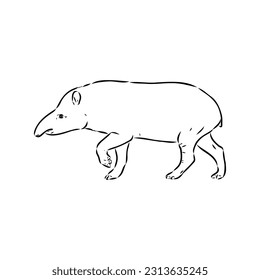 Tapir animal sketch engraving vector illustration. Scratch board style imitation. Hand drawn image.