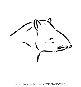 Tapir animal sketch engraving vector illustration. Scratch board style imitation. Hand drawn image.