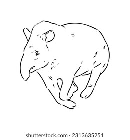 Tapir animal sketch engraving vector illustration. Scratch board style imitation. Hand drawn image.