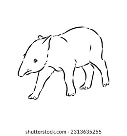 Tapir animal sketch engraving vector illustration. Scratch board style imitation. Hand drawn image.