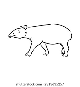 Tapir animal sketch engraving vector illustration. Scratch board style imitation. Hand drawn image.