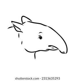 Tapir animal sketch engraving vector illustration. Scratch board style imitation. Hand drawn image.