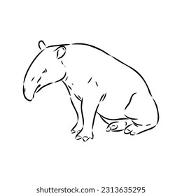 Tapir animal sketch engraving vector illustration. Scratch board style imitation. Hand drawn image.