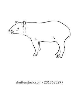 Tapir animal sketch engraving vector illustration. Scratch board style imitation. Hand drawn image.