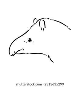 Tapir animal sketch engraving vector illustration. Scratch board style imitation. Hand drawn image.