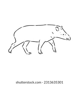 Tapir animal sketch engraving vector illustration. Scratch board style imitation. Hand drawn image.