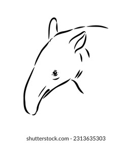 Tapir animal sketch engraving vector illustration. Scratch board style imitation. Hand drawn image.