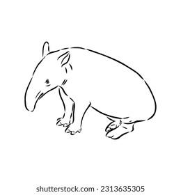 Tapir animal sketch engraving vector illustration. Scratch board style imitation. Hand drawn image.