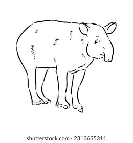 Tapir animal sketch engraving vector illustration. Scratch board style imitation. Hand drawn image.