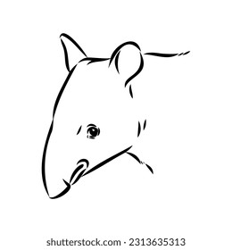 Tapir animal sketch engraving vector illustration. Scratch board style imitation. Hand drawn image.