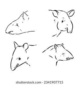 Tapir animal sketch engraving vector illustration. Scratch board style imitation. Hand drawn image.