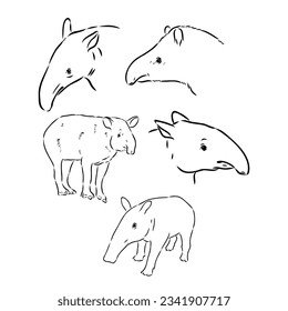 Tapir animal sketch engraving vector illustration. Scratch board style imitation. Hand drawn image.