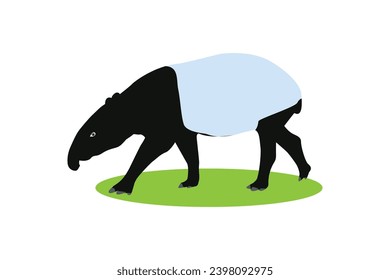 Tapir animal, Tapir vector, Tapir animal bundle. Image For Animals Design on white background.