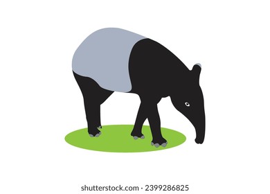 Tapir animal, Tapir vector, Tapir animal bundle. Image For Animals Design on white background.