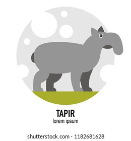Tapir animal vector flat illustration