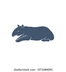 Tapir design vector illustration, Creative Tapir logo design concept template, symbols icons