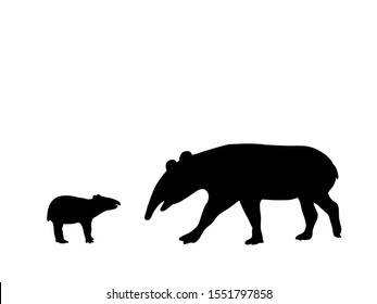 Tapir family. Silhouettes of animals. Vector illustrator