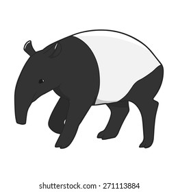 Tapir illustration