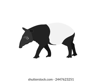 Tapir sobre fondo blanco.