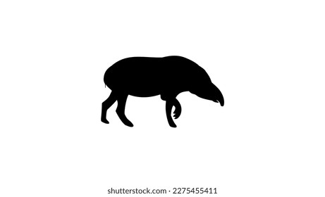 Tapir silhouette, high quality vector