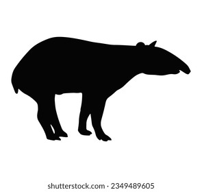 Tapir Silhouette on White Background