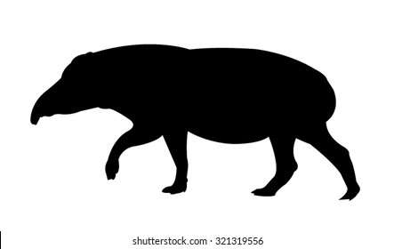 Tapir Silhouette on White Background