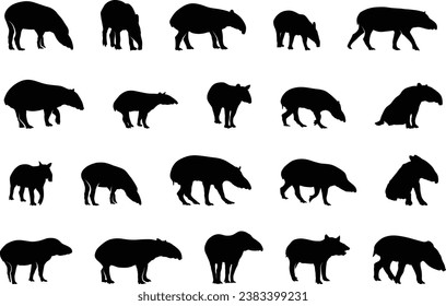 Tapir silhouettes, Malayan tapir silhouette, Tapir vector set, Tapir animal bundle