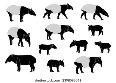 Tapir silhouettes, Malayan tapir silhouette, Tapir vector set, Tapir animal bundle. Image For Animals Design on white background.