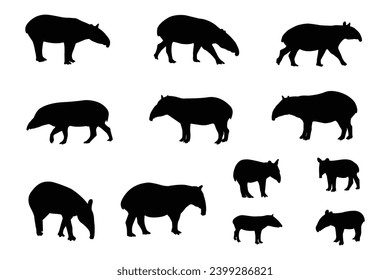 Tapir silhouettes, Malayan tapir silhouette, Tapir vector set, Tapir animal bundle. Image For Animals Design on white background.