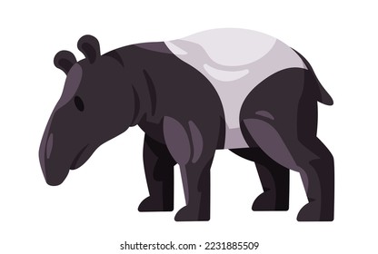 Tapir tapiridae black and white color standing large herbivorous mammals with nose trunk