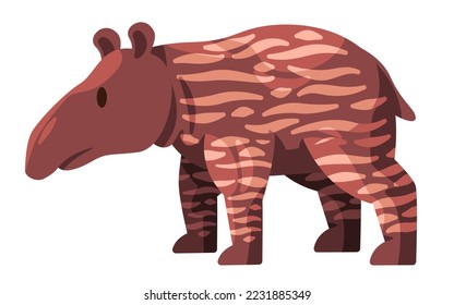 Tapir tapiridae brown stripped standing large herbivorous mammals with nose trunk